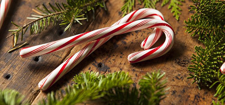 White chocolate dipped peppermint sticks