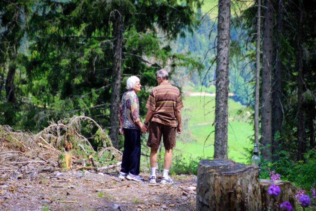 Elderly couple holding hands enjoying the woodland view