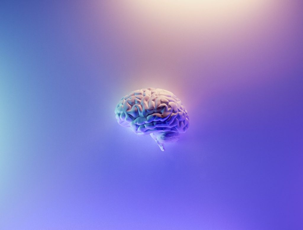 brain on a coloured backgroud