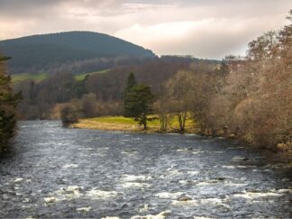 live-in care tayside