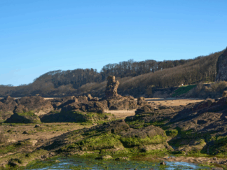 live-in care lothians