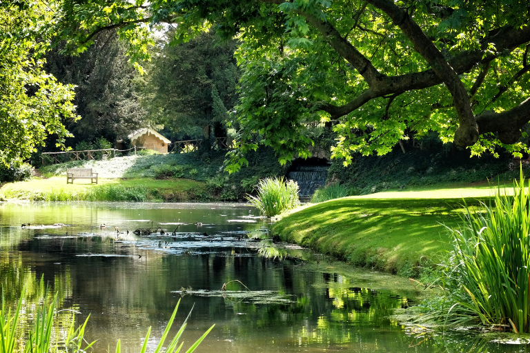 Private Home Care Weybridge