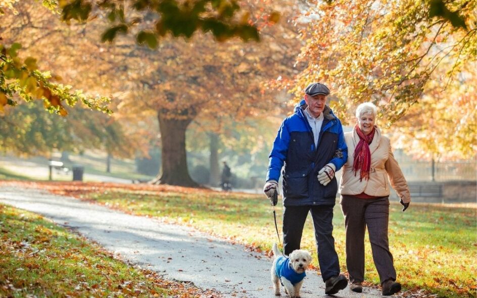Preparing For Autumn: Protecting Vulnerable People During Wetter And Stormier Weather 1 Autumn