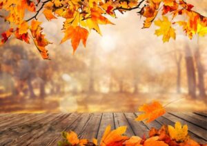 autumn